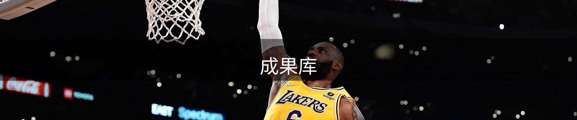 成果库
